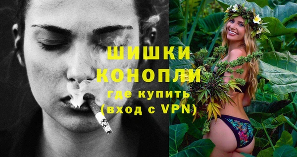 дмт Мегион