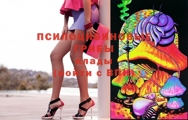 ешки Медногорск