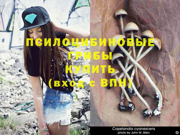 дмт Мегион