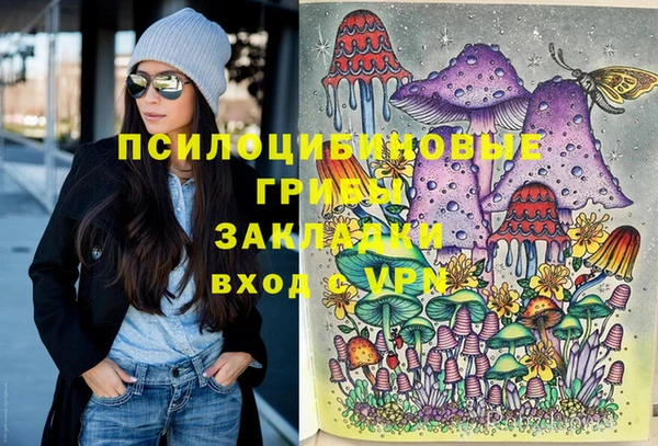 ешки Медногорск