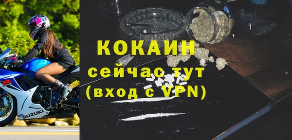 дмт Мегион