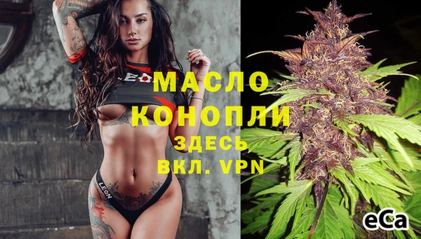 ешки Медногорск