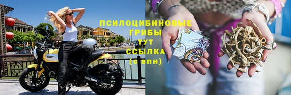 каннабис Медвежьегорск