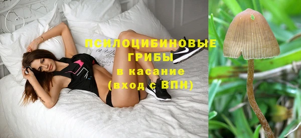 дмт Мегион