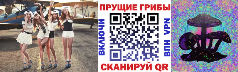 мега как зайти  Чудово  Псилоцибиновые грибы ЛСД 